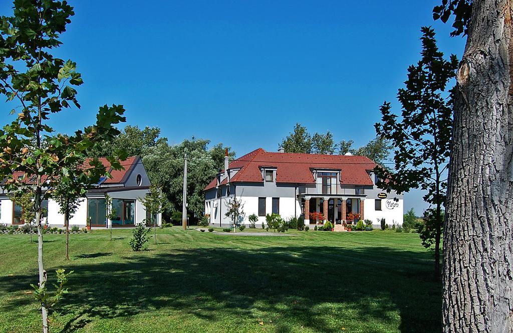 Penzion Platan Dunajská Streda エクステリア 写真