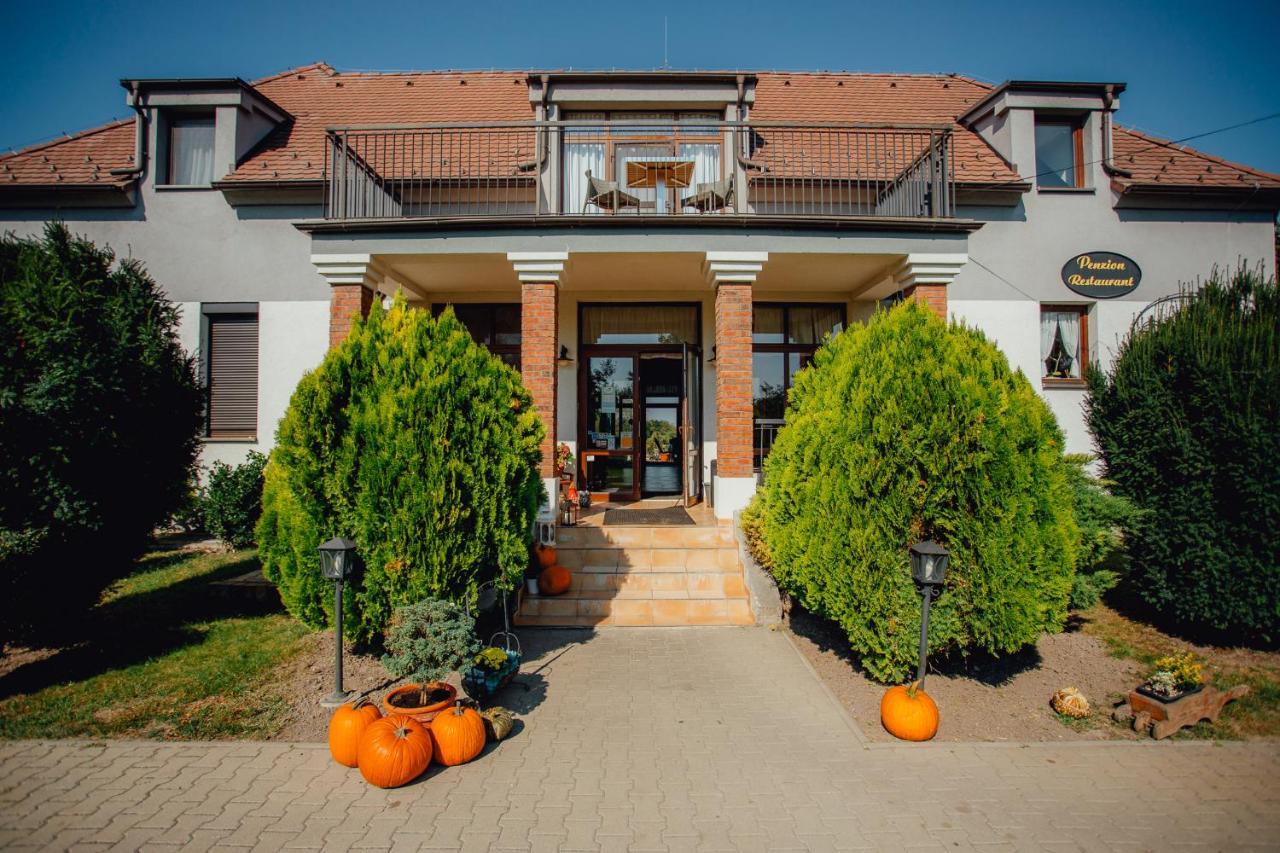 Penzion Platan Dunajská Streda エクステリア 写真